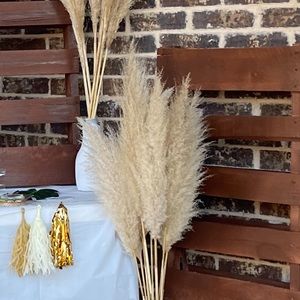 Natural Dried Texas Pampas Grass! @precious.pampas